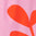 2041558_895_JC.jpg