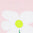 2042369_848_JC.jpg