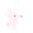 2043053_972_JC.jpg