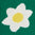 2043409_215_JC.jpg