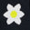 2043418_123_JC.jpg