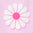 2044970_895_JC.jpg
