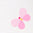 2045098_970_JC.jpg
