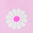 2045505_892_JC.jpg