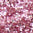 2045563_837_JC.jpg
