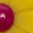 2047146_895_JC.jpg